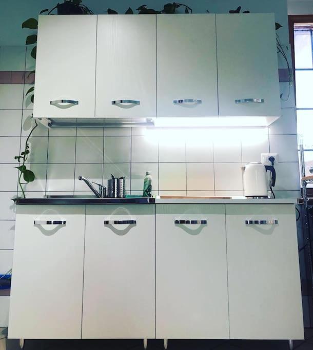 Apartment Secretgarden - Levico Terme